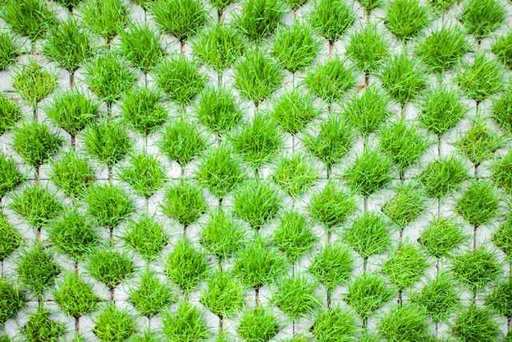 10 Grass Pavers for Driveway – All You Need to Kno